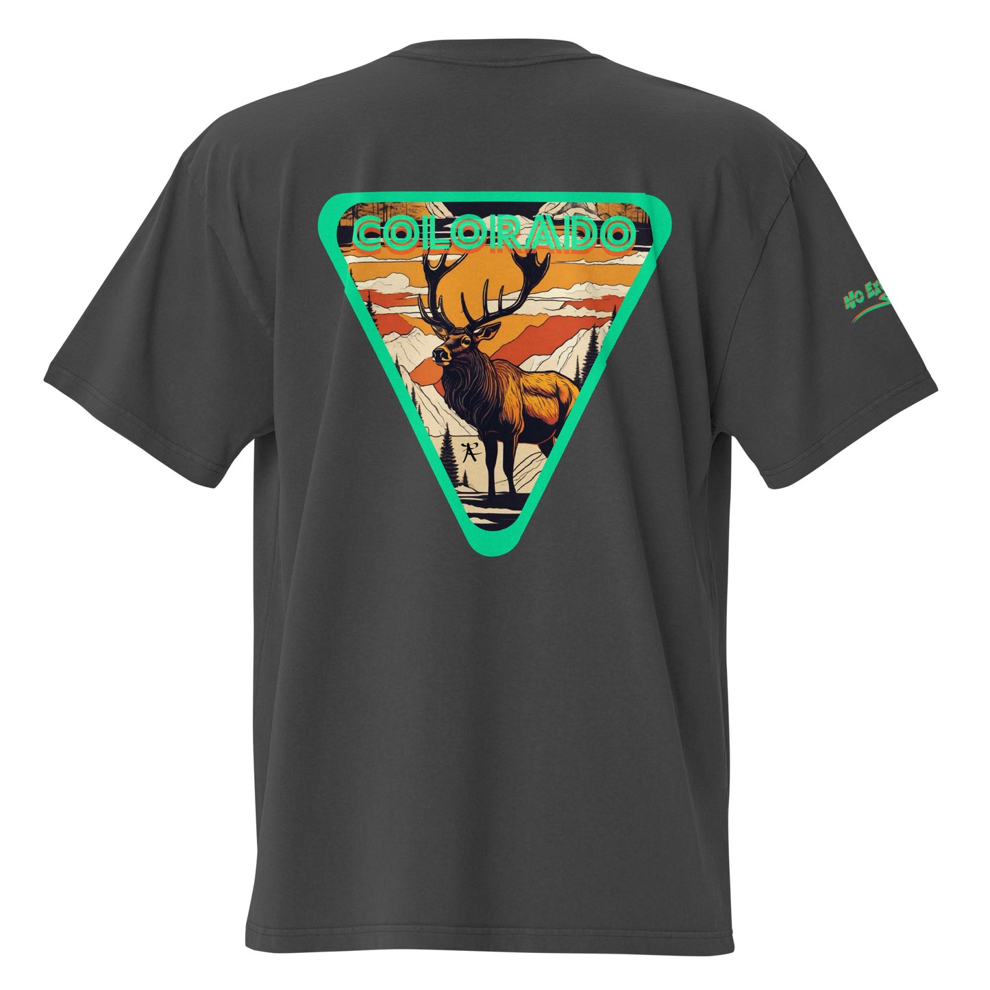 Pump Cover Oversized faded t-shirt