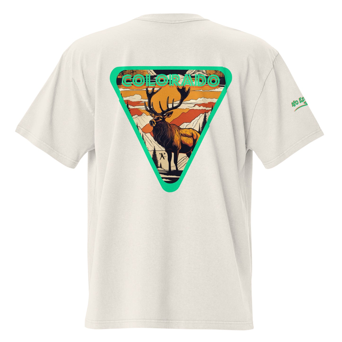 Pump Cover Oversized faded t-shirt