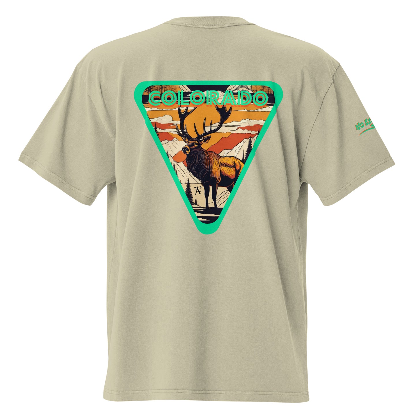 Pump Cover Oversized faded t-shirt